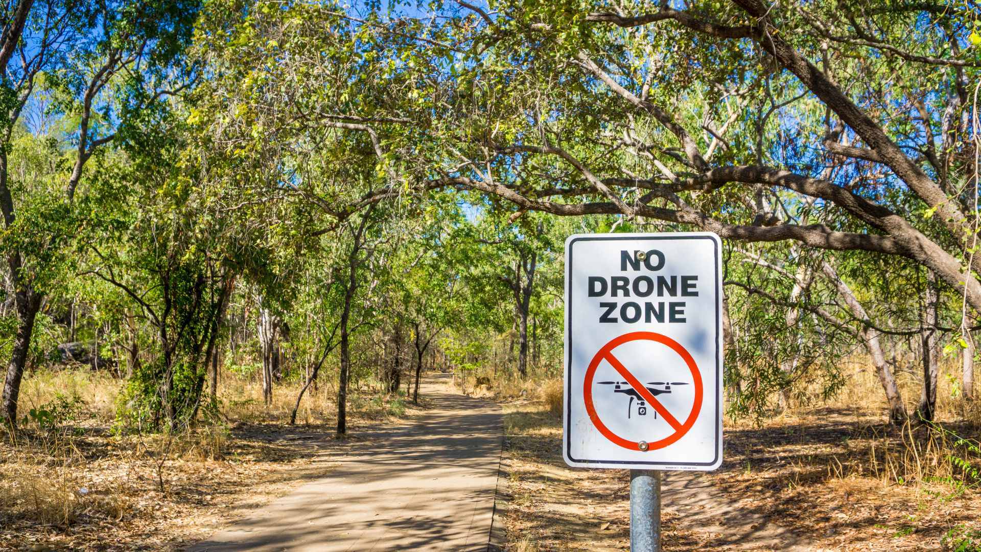 No drone zone image in wildlife setting